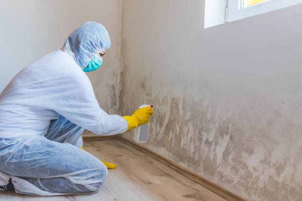 Licensed Commercial Mold Remediation service in Shirleysburg, PA - WQB Mold Removal