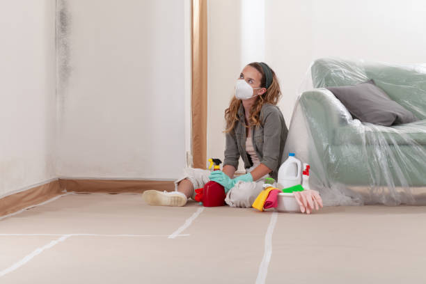 Reliable Commercial Mold Remediation contractor in Shirleysburg, PA by WQB Mold Removal